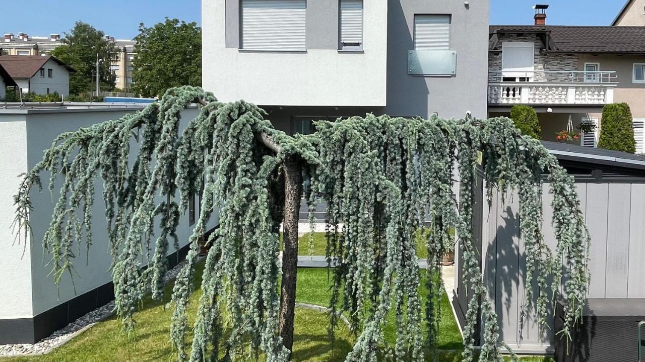 Villa Mami Ζάγκρεμπ Εξωτερικό φωτογραφία